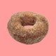 Cinnamon Sugar Doughnut image 0