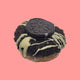 Cookies N' Creme Doughnut image 0