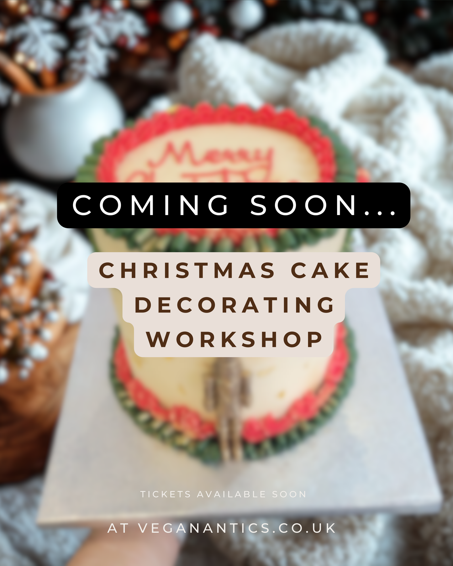 Christmas Cake Decorating Workshop (Adult)