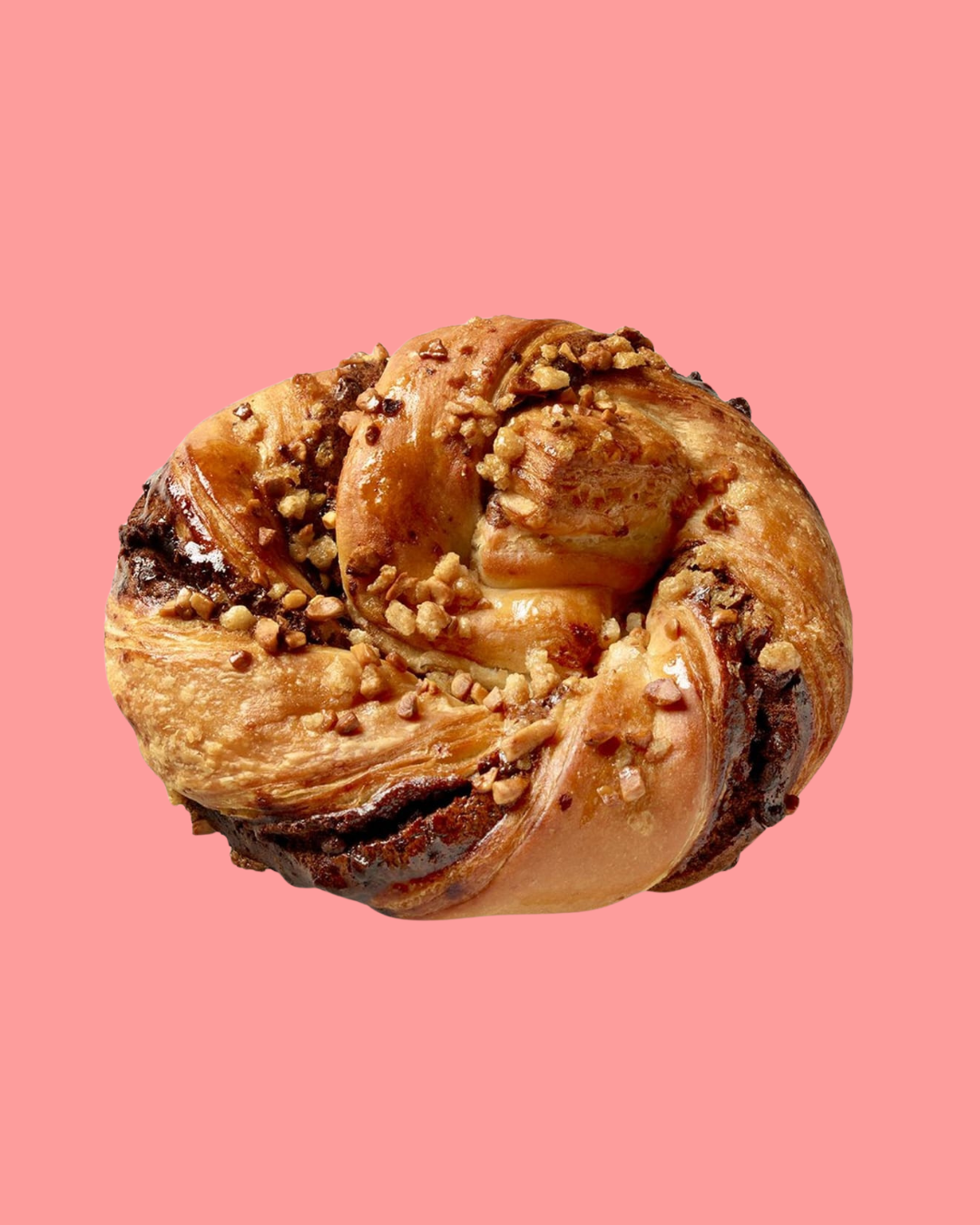 Chocolate & Hazelnut Babka